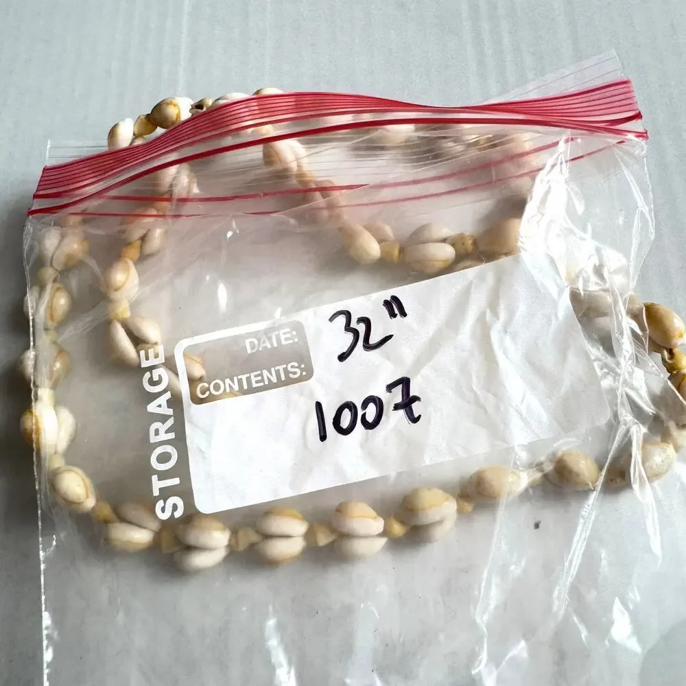 Vintage cowrie shell